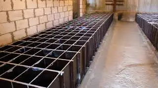Цех с формами наборными