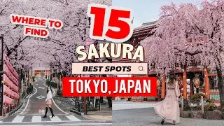 🌸 THE BEST SAKURA CHERRY BLOSSOM Locations in TOKYO 🇯🇵 Best Instagram Spots | Japan Travel Guide