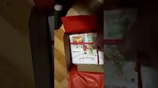 Новогодний подарок 2022