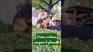 романтика в деревне 