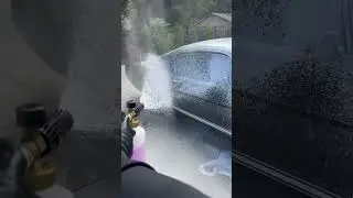 The real foam. 