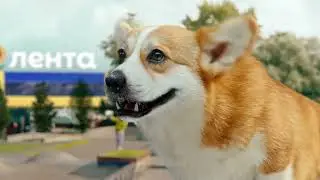 Лента | Скейтеры | реклама 2024