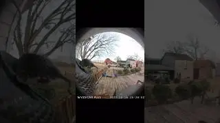 Внезапное нападение Змеи 