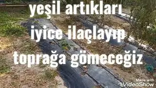 ilaçlamayı bıraktık hobi günlüğü - 204