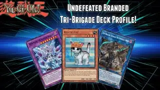 (Tri best deck?!) *UNDEFEATED* Branded Tri-Brigade Deck Profile! 6-0 Back-2-Duel OTS