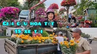 🌍 Mua 15 xe tải hoa ế giúp bà con về quê đón giao thừa tết 2023