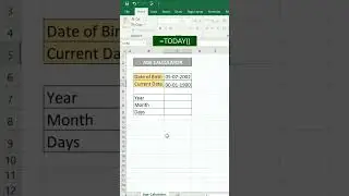 Age calculator 🤩 #excel #excelformulas #exceltips
