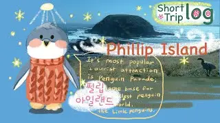 멜번 여행 필립 아일랜드 /Short TripLog ((Phillip Island))