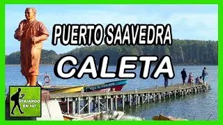✅ 𝗣𝘂𝗲𝗿𝘁𝗼 𝗦𝗮𝗮𝘃𝗲𝗱𝗿𝗮 | 𝗔𝗿𝗮𝘂𝗰𝗮𝗻𝗶́𝗮 | 𝗖𝗮𝗹𝗲𝘁𝗮 | 𝗩𝗶𝗮𝗷𝗮𝗻𝗱𝗼 𝗲𝗻 𝗛𝗗