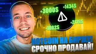 Notcoin на бирже! Как продать ноткоин и заработать? Листинг на Bybit