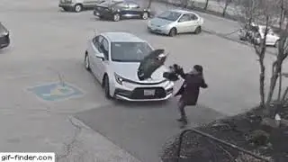 Ganso ataca en estacionamiento / Goose attacks in parking lot