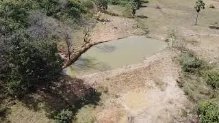 Em uma fazenda no município de Pirenópolis-GO