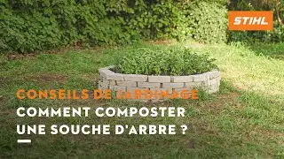 Comment composter une souche d’arbre ? | Conseils de jardinage STIHL