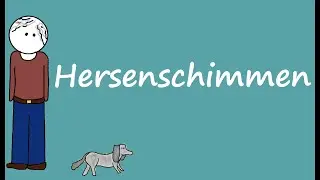 Samenvatting Hersenschimmen (De Alphaman)