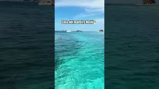 Encontré la casa del maestro roshi