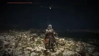 Elden Ring Malenia fight DEX bleed build.