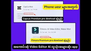 CapCut Pro