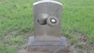 Stardew Autism 3