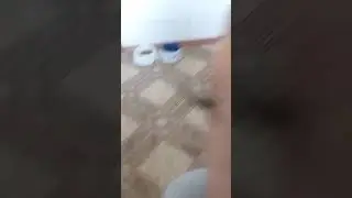 На меня села бабачка