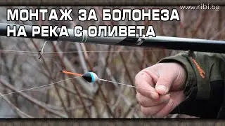 Работещ монтаж за болонеза на река с оливета