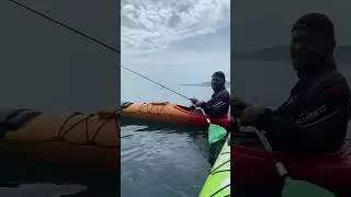 Sokol FISH HUNTER