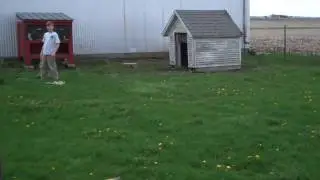 Day 59 - Goat Fence