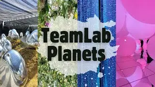 Interactive Exhibits at TeamLab Planets in Tokyo