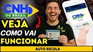 Brazilian Driver's License: The new 2025 driver's license is now valid without driving school (st...