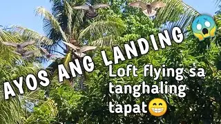loft fly sa tanghali yon oh🤭