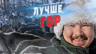 Лучше гор только короли!