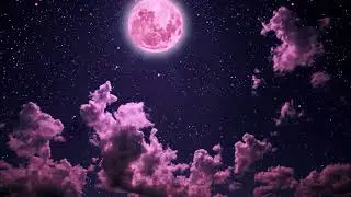 José Tucci & Michel Parizet- need your love so bad
