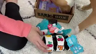 Barkbox April 2022 Opening | Jackpawt