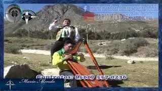 Mario Mendoza   Vano Sacrificio