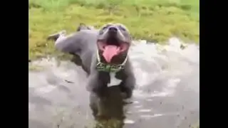 Что делать в жару