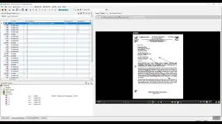 IPRO | Trial Director -  QUICK OVERVIEW OF PRESENTATION PREVIEW