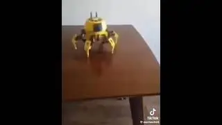 (discord meme) robo crab 🦀 