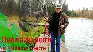 Ловля форели в Клёвом месте. 