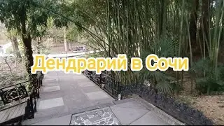 Дендрарий в Сочи 😍