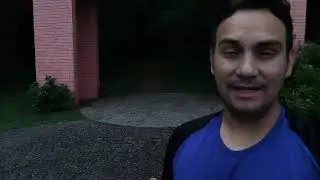 Bosque do Fazendinha - como você nunca viu 24/10/22
