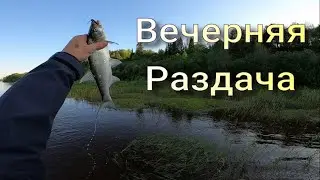 Вечерняя Раздача Клюёт всё подряд Спининг на Вятке