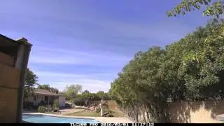 Cutting Down the BIG TREE