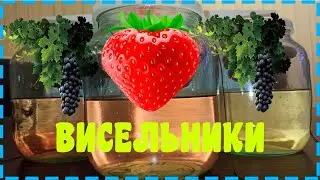 ВИСЕЛЬНИКИ КЛУБНИКА, ВИНОГРАД. ВАЖНО ЗНАТЬ КАКОЙ!!!