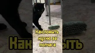 Шок контент 🤪 
