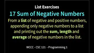 17 Sum of Negative Numbers (Python)