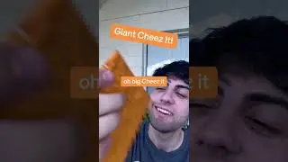 Giant Cheezit!
