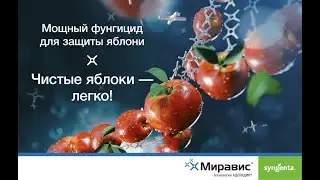 МИРАВИС  Чистые яблоки — легко!