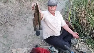 Baliq ovi! 60 yildan beri xar kun baliq ovlaydigan baliqchi.  🎣 🐟 🐠