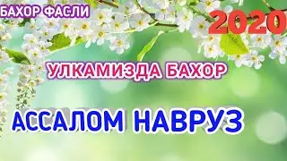 Ассалом Навруз Улкамизда Бохор