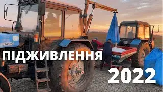 ПІДЖИВЛЕННЯ 2022🔥Чи врятує селітра незакущену пшеницю🌾?