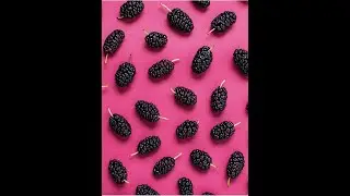 Лечебный эффект шелковицы ( тутовника) при сахарном диабете второго (2) типа.